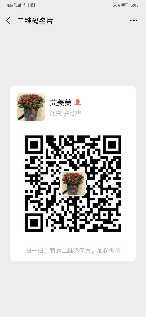 Two-Piece Matching Set Manufacturer 2153