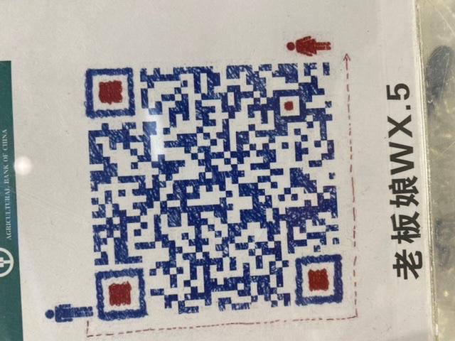 Luxury Suri Alpaca Wool Blend Coat Vendor 3061