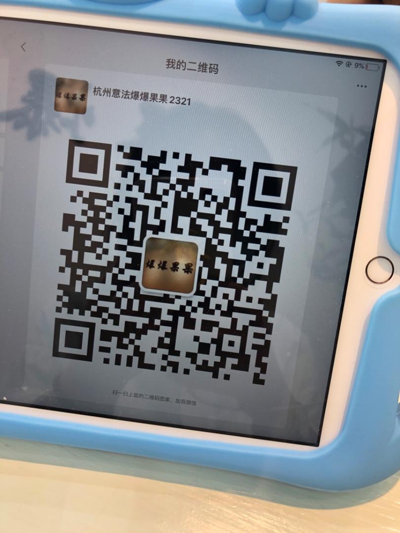 Luxury Suri Alpaca Wool Blend Coat Vendor 3077