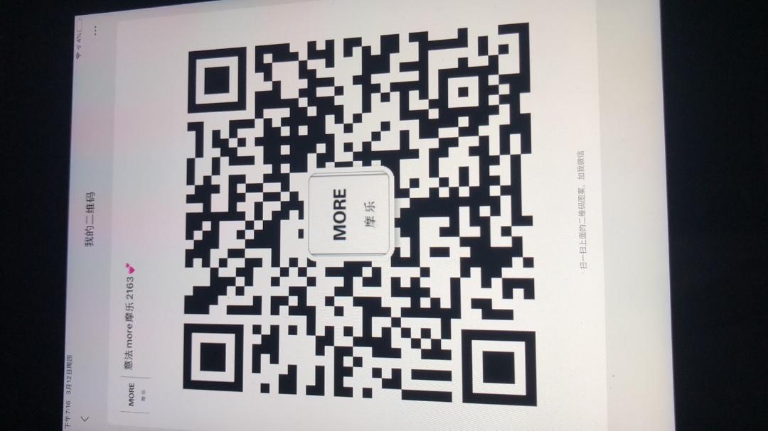 Luxury Suri Alpaca Wool Blend Coat Vendor 3081