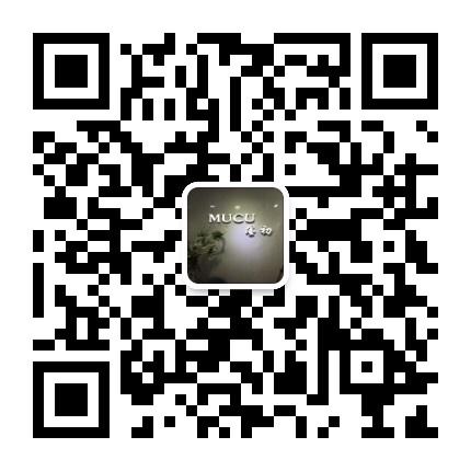 China Chic Aesthetic Designer Clothing Vendor 4453