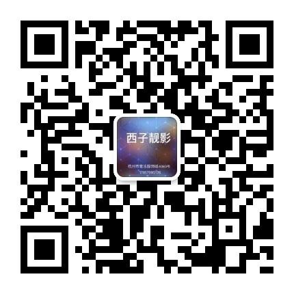 China Chic Aesthetic Designer Clothing Vendor 4493