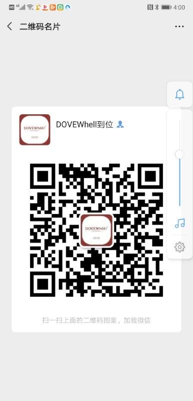 Heavyweight 100% Mulberry Silk Dress Vendor 4549