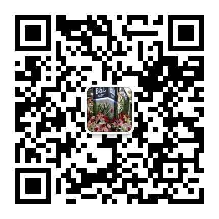 Diamond Quilted Light Down Jacket Vendor 4578