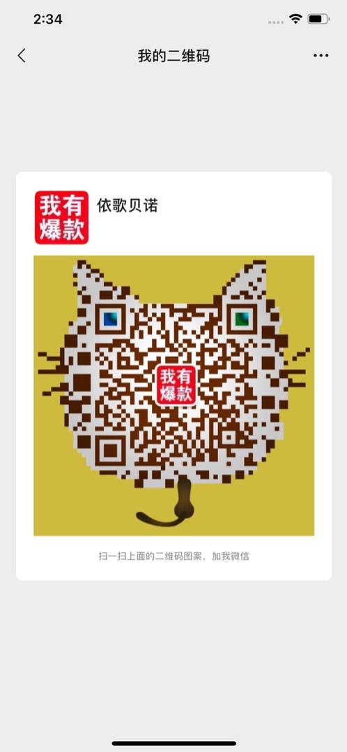 Big Real Raccoon Fur Hooded Parka Vendor 4686