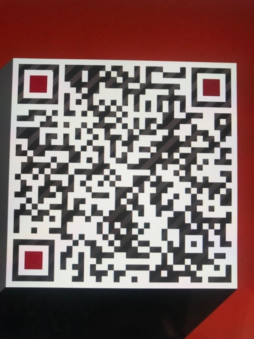 Trendy Glossy/Shiny Nylon Puffer Vendor 4781