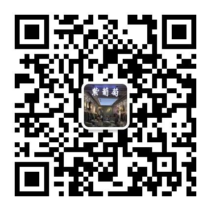 Trendy Glossy/Shiny Nylon Puffer Vendor 4788