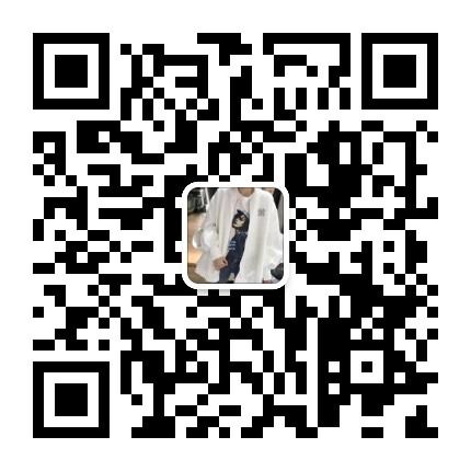 Trendy Glossy/Shiny Nylon Puffer Vendor 4803