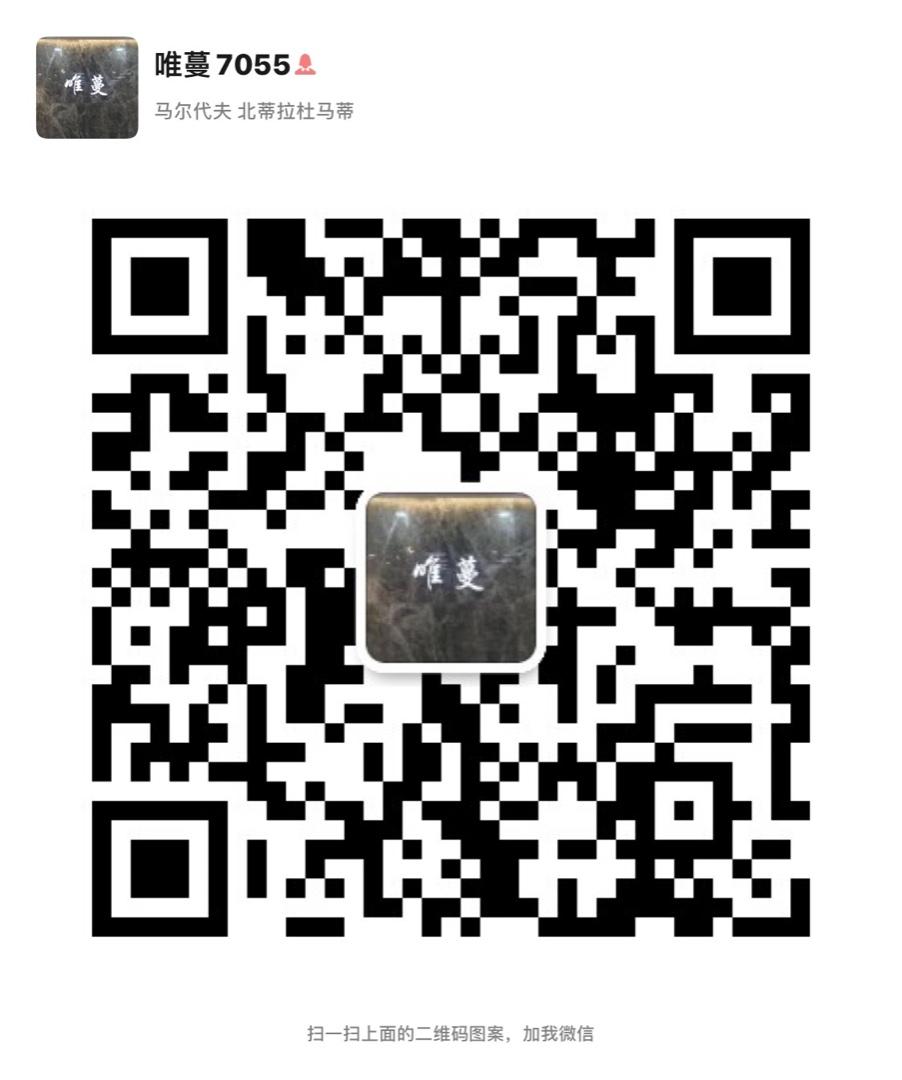 Original Clothing Manufacturer (Factory Direct) 4838