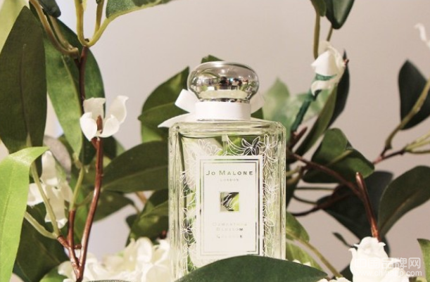 Jo MALONE「Osmanthus Blossom Cologne」香氛预览