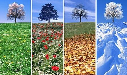 福建尾货生意淡旺季如何销售服装？_女装品牌尾货批发哪里便宜