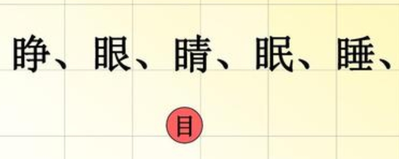 目字旁的有什么字，以目为部首的字