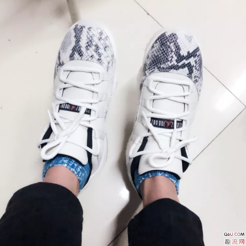 AJ11？low白蛇、粉蛇、蓝蛇哪个颜值最高？AJ11低帮夏天穿热吗