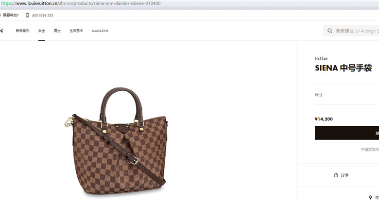 LV N41546 SIENA 中号手袋