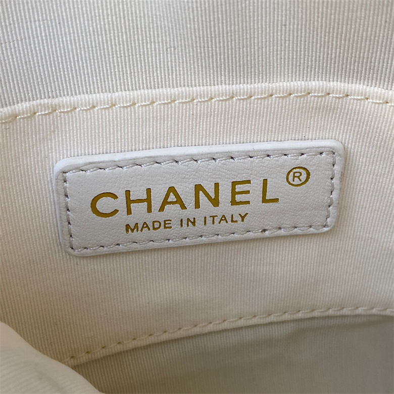 Chanel AS2857 B06895 10601 迷你相机包