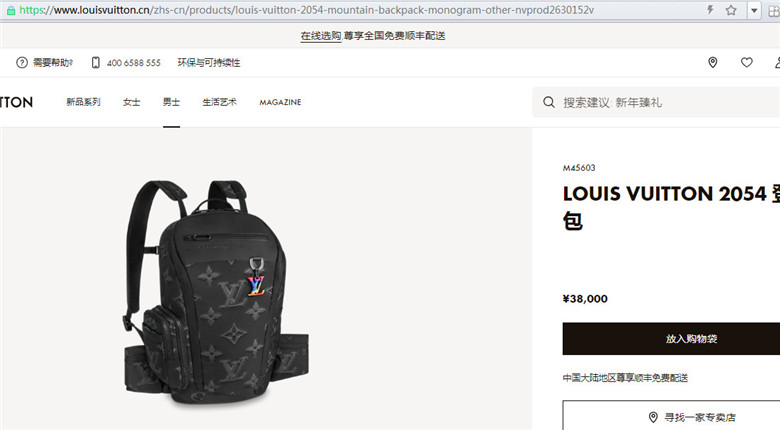 LV M45603 2054 登山包