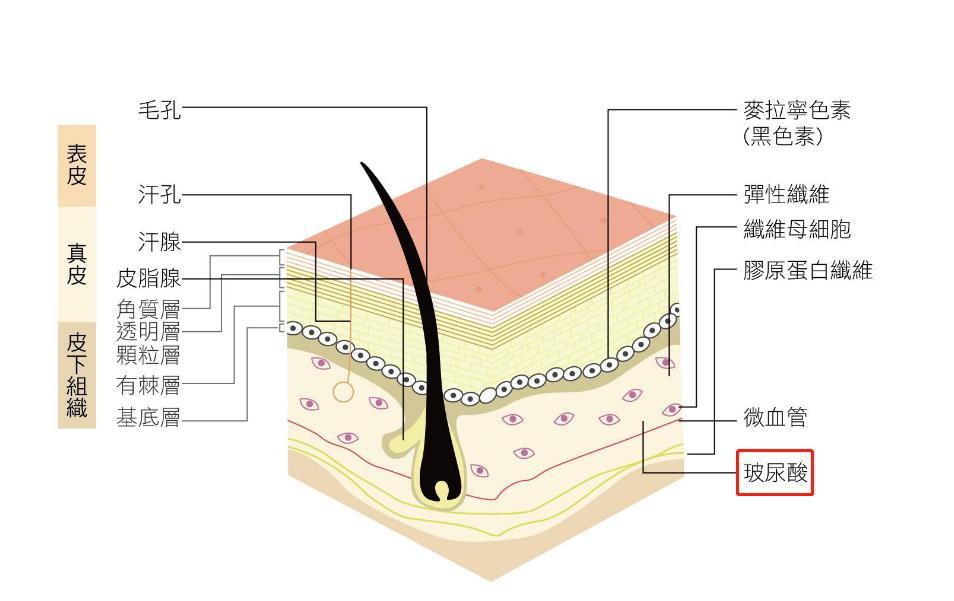 天天敷面膜却连最基本的面膜成分都不懂？3步了解面膜，拒绝烂脸