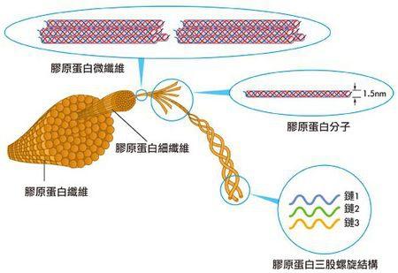 天天敷面膜却连最基本的面膜成分都不懂？3步了解面膜，拒绝烂脸