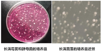 前男友面膜过期了还能用吗？消保委的测试结果可能吓你一跳