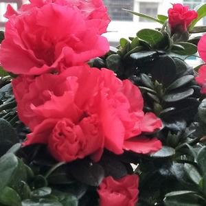 广州最大厨具批发市场在哪里？