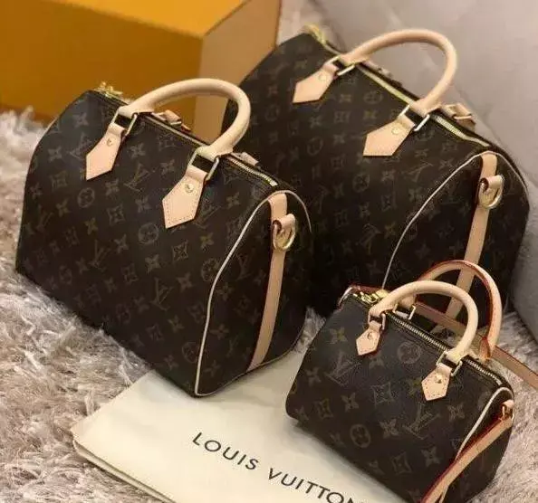 知识点丨LV路易威登经典入门款lv speedy包包大全