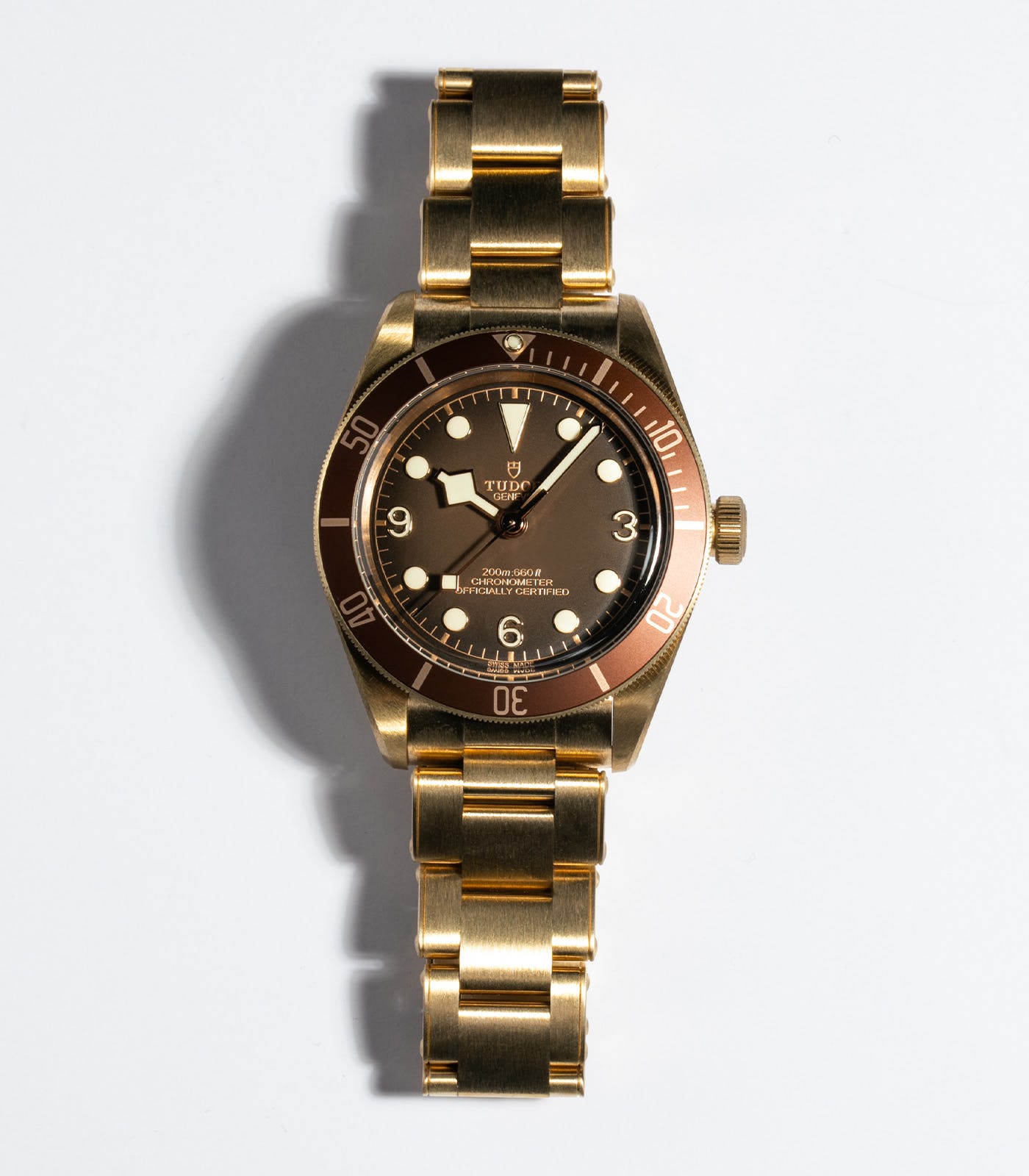 Tudor Black Bay Bronze