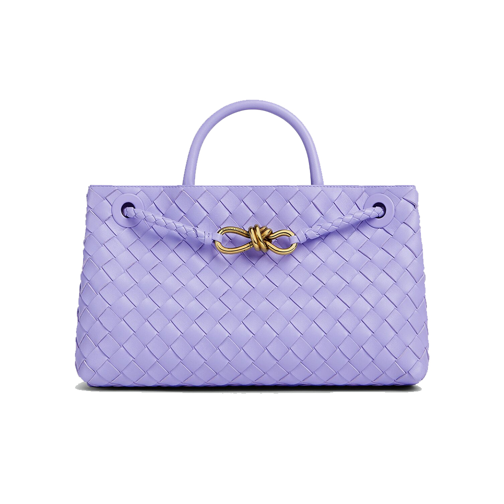 Bottega Veneta Small East/West Andiamo Bag