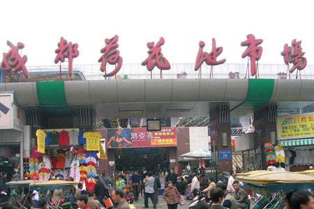 成都荷花池童装童鞋批发市场在哪里？怎么去？