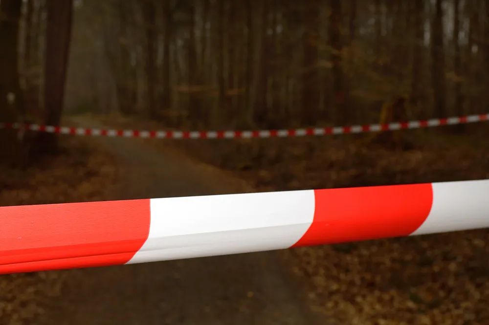 突然“暴雷”！亚马逊多个类目Top10挂掉……