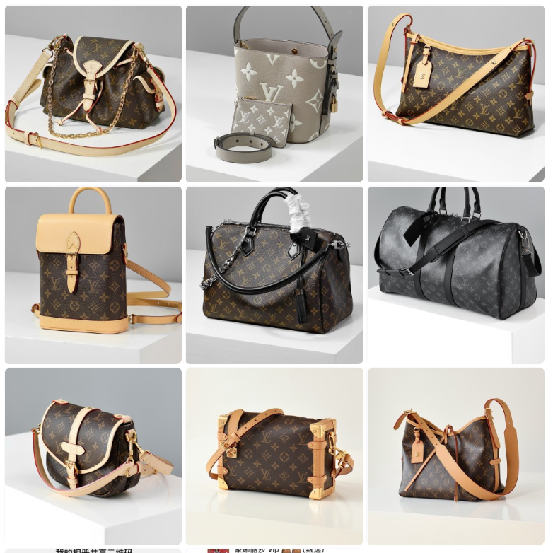 蒙娜丽莎 （莎姐）