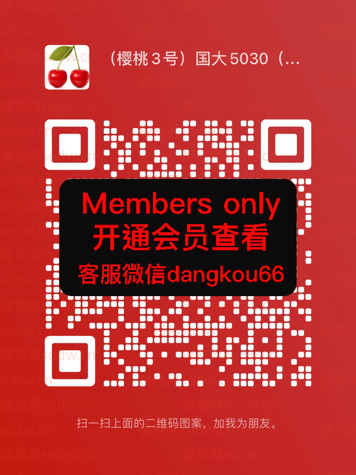 樱桃-国大2038