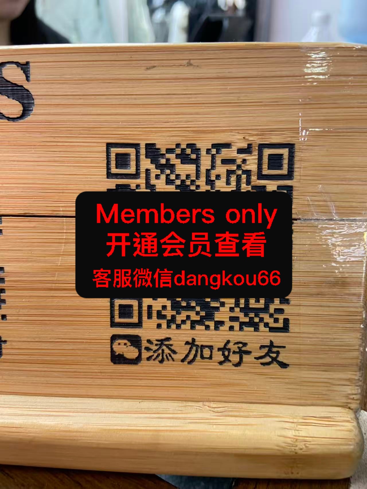 洛奇