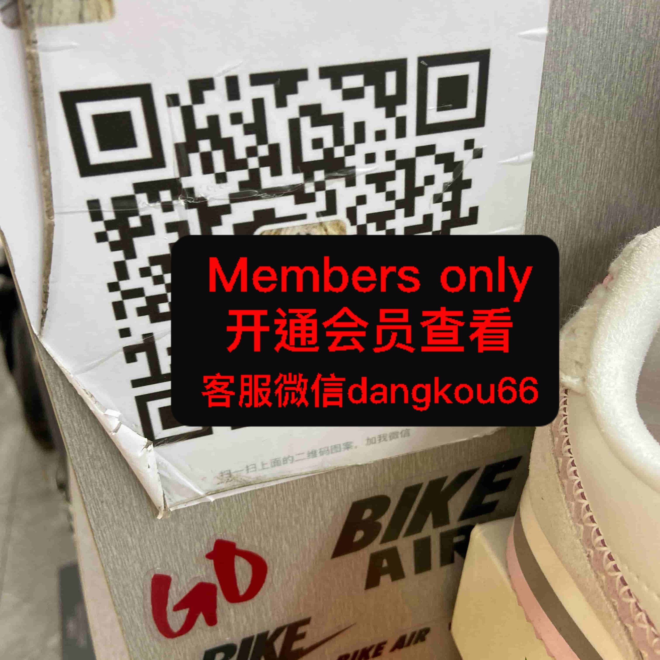 金宝-猫（max shoes）