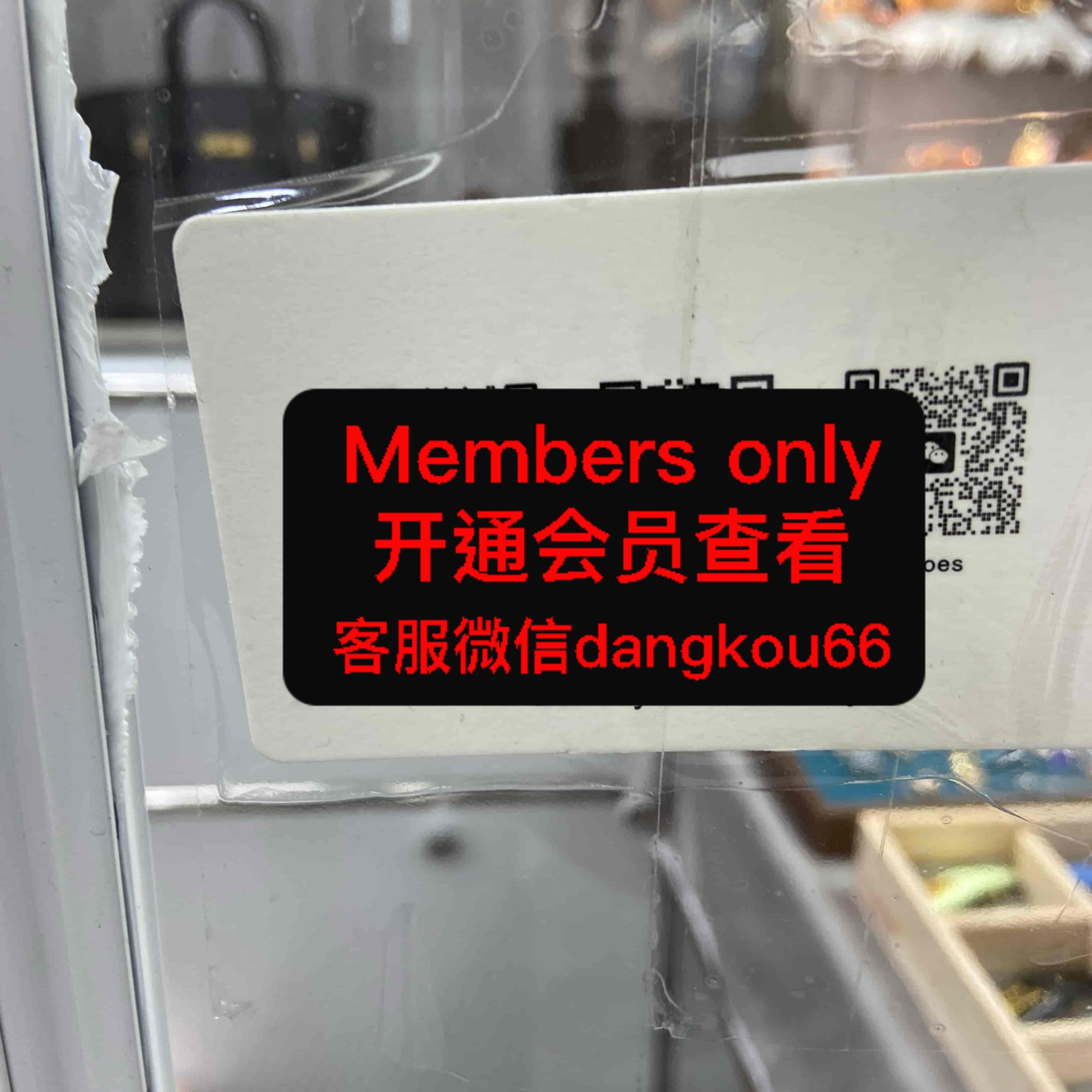 金宝-芊芊max(grace)