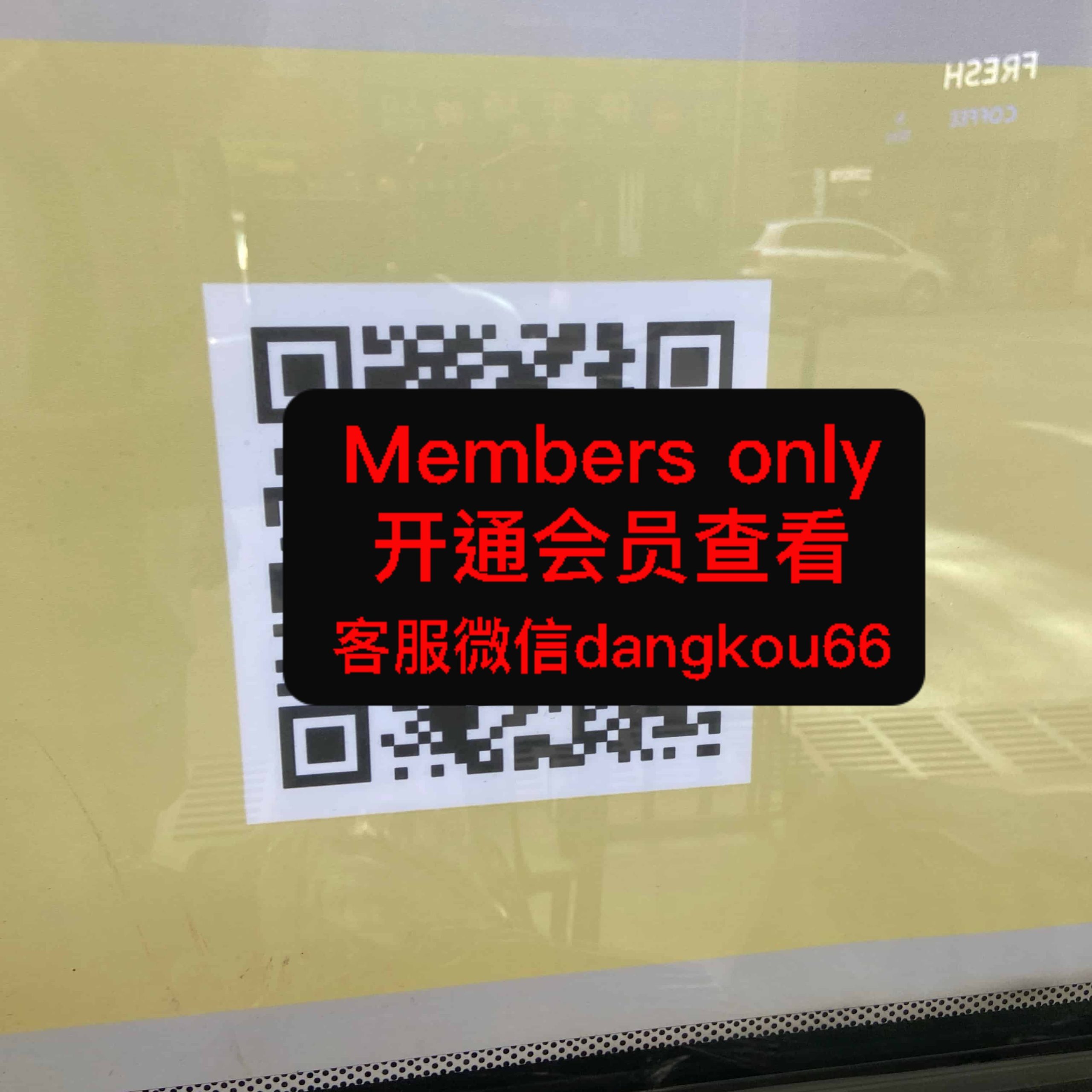 夏利玛-专业polo