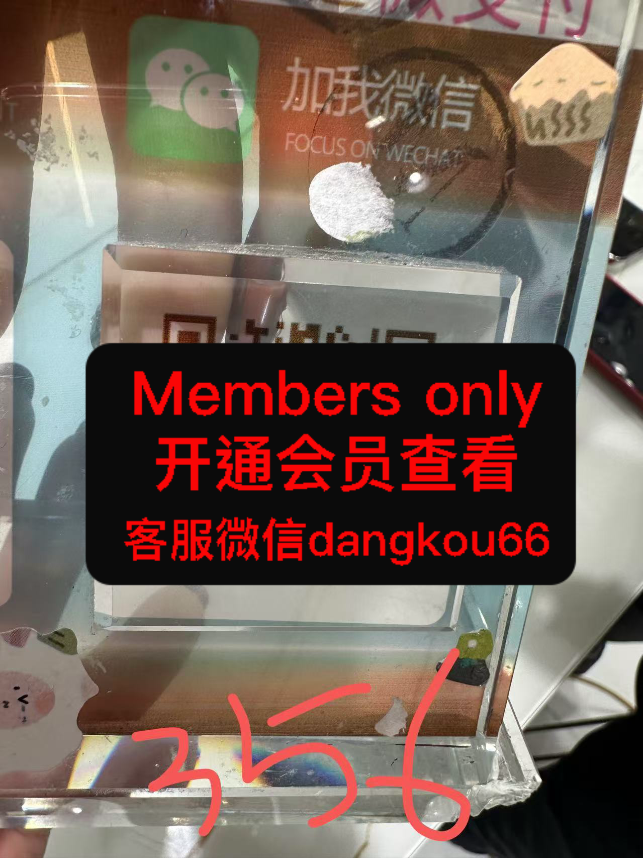 帕加尼-国贸-356