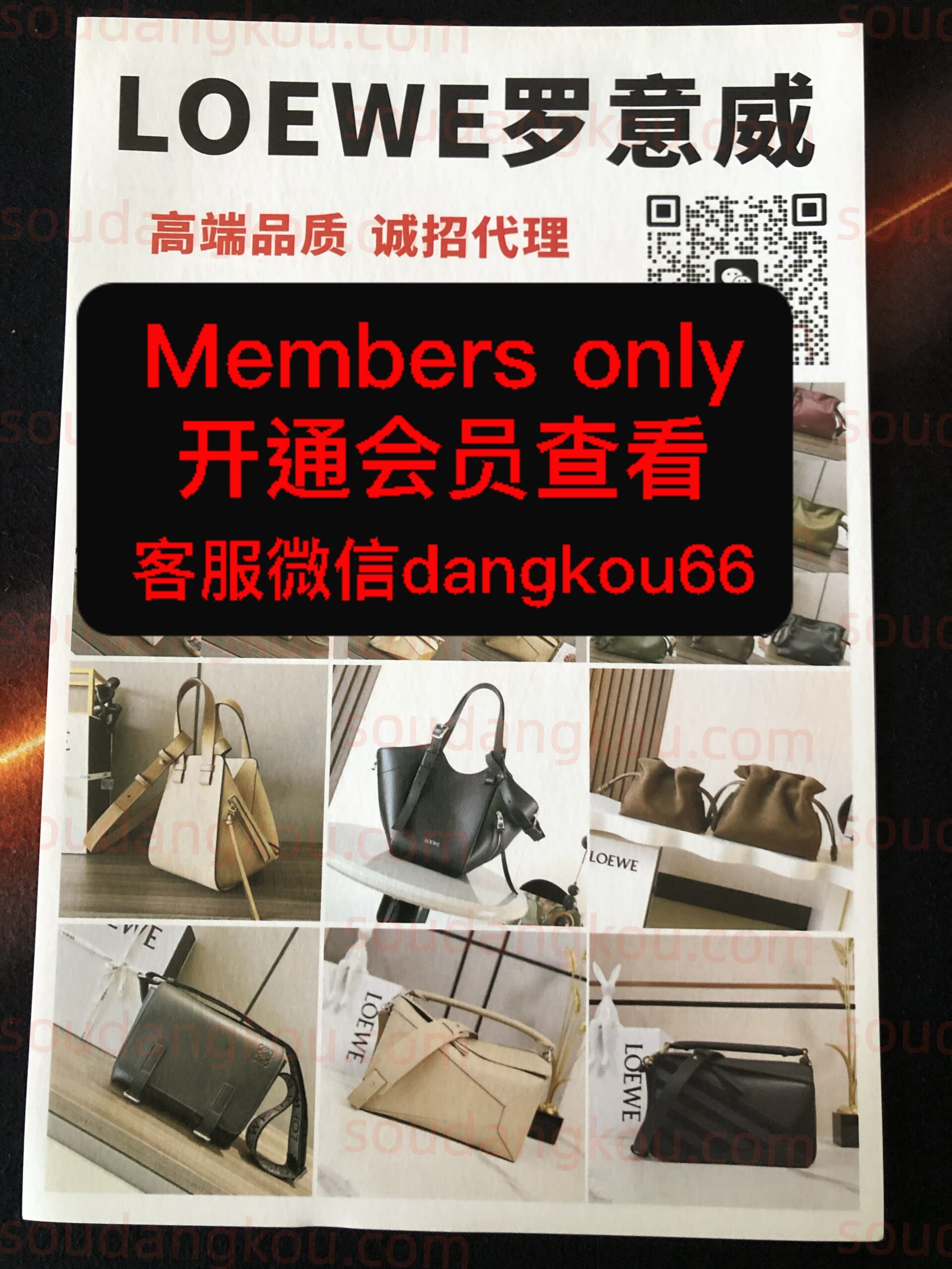 LOEWE罗意威 wholesale vendor in Guangzhou