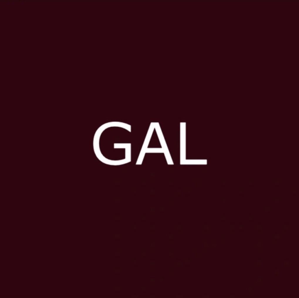 GAL（Global Art League）-深圳南油***