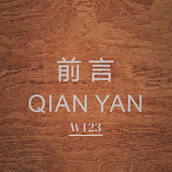 W123 前言QIANYAN（Trend settre）-深圳南油***
