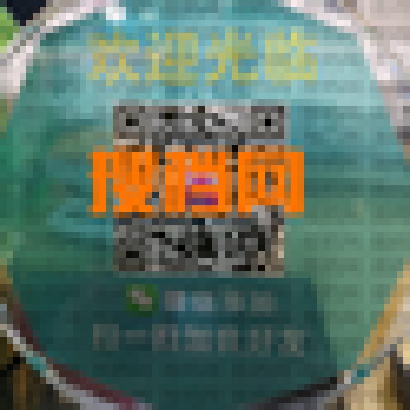 宝姿雨 1207