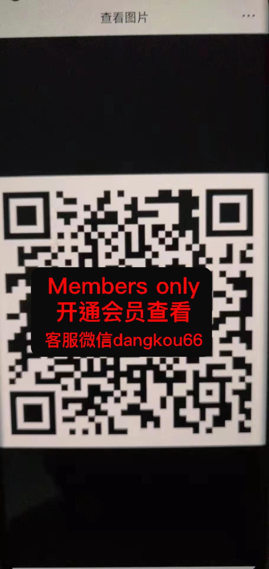 伊文·蔡 -金晖B2026