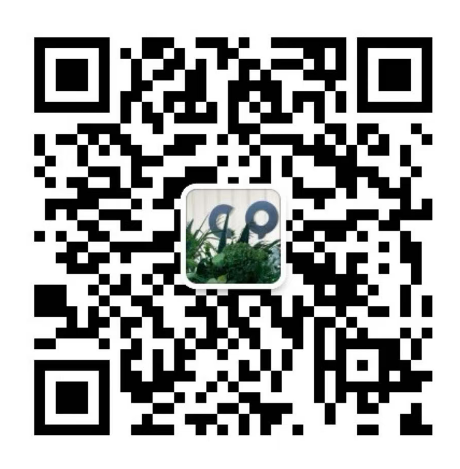 CQ 春-国贸-8528-8529